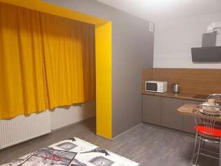 Апартаменты Apartments for rent on the 2nd floor in the centre Ужгород Апартаменты Делюкс-14