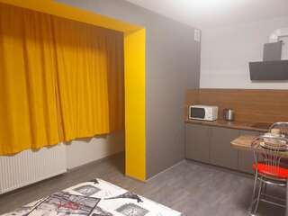 Апартаменты Apartments for rent on the 2nd floor in the centre Ужгород Апартаменты Делюкс-43